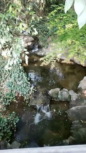 丧尸围城4
